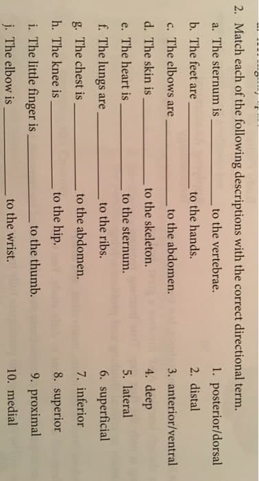 2. Match each of the following descriptions with the correct directional term.
a. The sternum is
to the vertebrae.
b. The feet are
c. The elbows are.
d. The skin is.
e. The heart is
f. The lungs are.
The chest is
h. The knee is
i. The little finger is.
j. The elbow is
to the hands.
to the abdomen.
to the skeleton.
to the sternum.
to the ribs.
to the abdomen.
to the hip.
to the thumb.
to the wrist.
1. posterior/dorsal
2. distal
3. anterior/ventral
4. deep
5. lateral
6. superficial
7. inferior
8. superior
9. proximal
10. medial