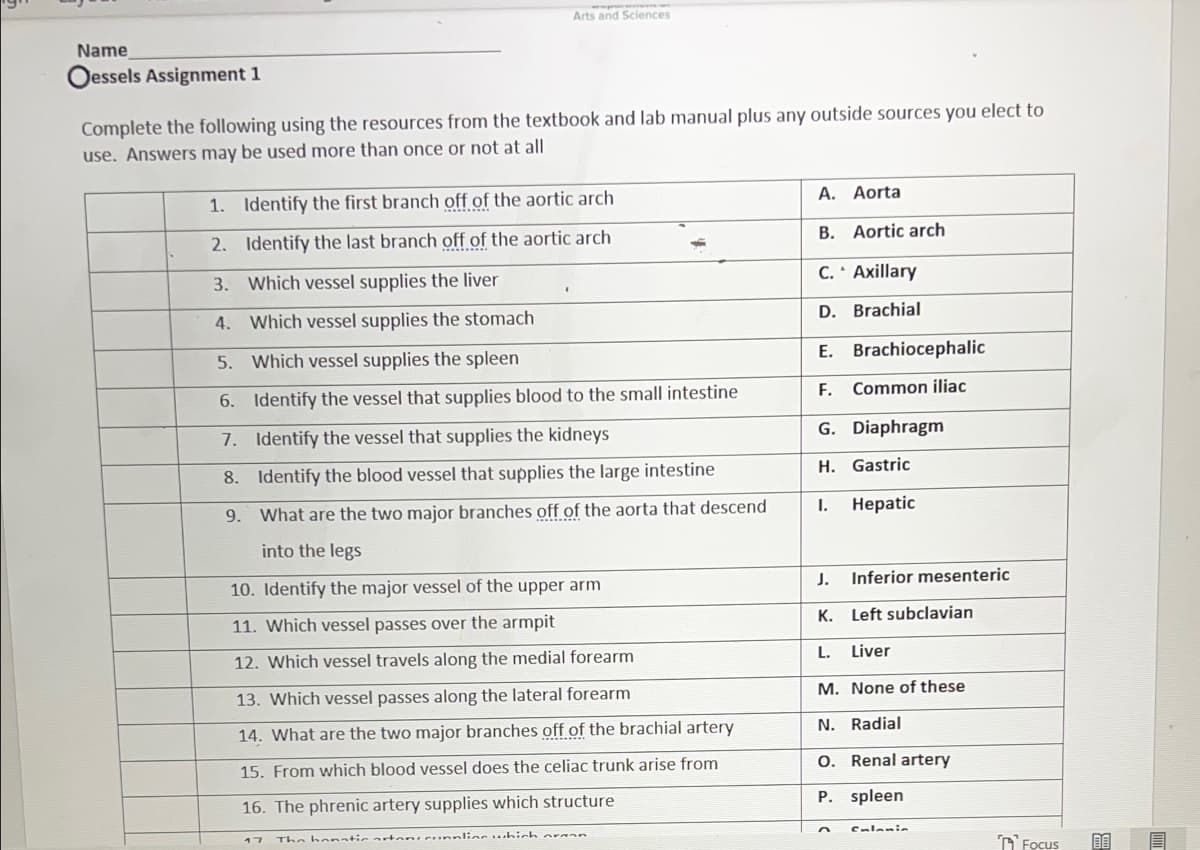 Arts and Sciences
Name
Oessels Assignment 1
Complete the following using the resources from the textbook and lab manual plus any outside sources you elect to
use. Answers may be used more than once or not at all
A. Aorta
1. Identify the first branch off of the aortic arch
B. Aortic arch
2. Identify the last branch off of the aortic arch
C. · Axillary
3. Which vessel supplies the liver
D. Brachial
4. Which vessel supplies the stomach
E. Brachiocephalic
5. Which vessel supplies the spleen
F. Common iliac
6. Identify the vessel that supplies blood to the small intestine
G. Diaphragm
7. Identify the vessel that supplies the kidneys
H. Gastric
8. Identify the blood vessel that supplies the large intestine
I.
Неpatic
9. What are the two major branches off of the aorta that descend
into the legs
J.
Inferior mesenteric
10. Identify the major vessel of the upper arm
K. Left subclavian
11. Which vessel passes over the armpit
L.
Liver
12. Which vessel travels along the medial forearm
M. None of these
13. Which vessel passes along the lateral forearm
N. Radial
14. What are the two major branches off of the brachial artery
O. Renal artery
15. From which blood vessel does the celiac trunk arise from
P. spleen
16. The phrenic artery supplies which structure
Calanie
nlinc uhich oraan
D Focus
17
The hor tic artan
