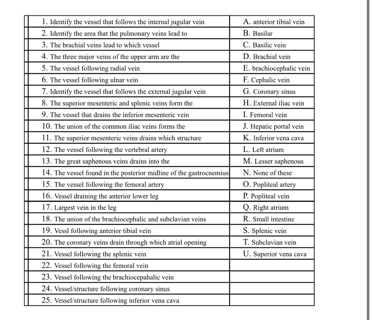 1. Identify the vessel that follows the internal jugular vein
A. anterior tibial vein
2. Identify the area that the pulmonary veins lead to
B. Basilar
3. The brachial veins lead to which vessel
C. Basilic vein
4. The three major veins of the upper arm are the
D. Brachial vein
5. The vessel following radial vein
E. brachiocephalic vein
F. Cephalic vein
6. The vessel following ulnar vein
7. Identify the vessel that follows the external jugular vein
G. Coronary sinus
8. The superior mesenteric and splenic veins form the
H. External iliac vein
9. The vessel that drains the inferior mesenteric vein
I. Femoral vein
10. The union of the common iliac veins forms the
J. Hepatic portal vein
11. The superior mesenteric veins drains which structure
K. Inferior vena cava
12. The vessel following the vertebral artery
L. Left atrium
13. The great saphenous veins drains into the
M. Lesser saphenous
14. The vessel found in the posterior midline of the gastrocnemius
N. None of these
15. The vessel following the femoral artery
O. Popliteal artery
16. Vessel draining the anterior lower leg
P. Popliteal vein
17. Largest vein in the leg
Q. Right atrium
18. The union of the brachiocephalic and subclavian veins
R. Small intestine
19. Vessl following anterior tibial vein
S. Splenic vein
20. The coronary veins drain through which atrial opening
T. Subclavian vein
21. Vessel following the splenic vein
U. Superior vena cava
22. Vessel following the femoral vein
23. Vessel following the brachiocepahalic vein
24. Vessel/structure following coronary sinus
25. Vessel/structure following inferior vena cava

