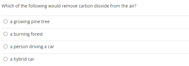 Which of the following would remove carbon dioxide from the air?
a growing pine tree
a burning forest
a person driving a car
O a hybrid car