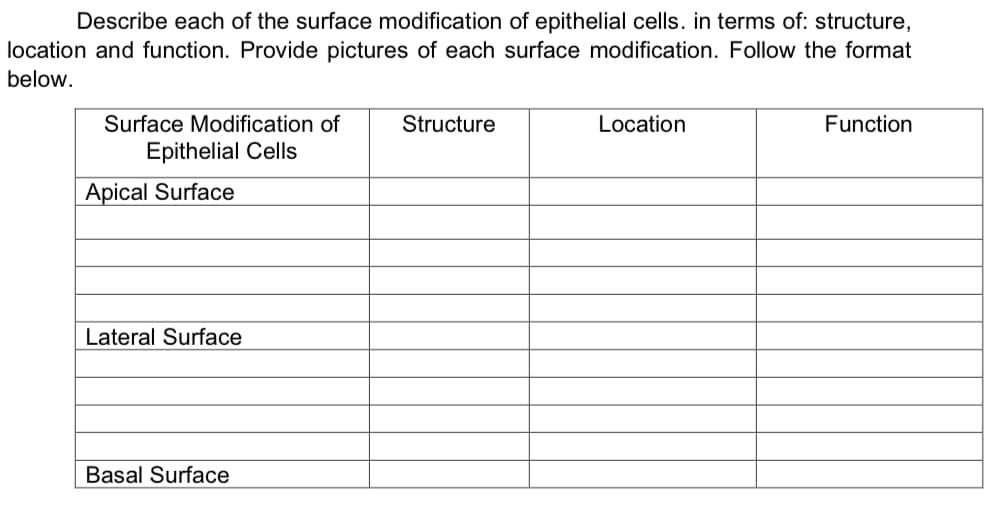 Describe each of the surface modification of epithelial cells. in terms of: structure,
location and function. Provide pictures of each surface modification. Follow the format
below.
Surface Modification of
Structure
Location
Function
Epithelial Cells
Apical Surface
Lateral Surface
Basal Surface
