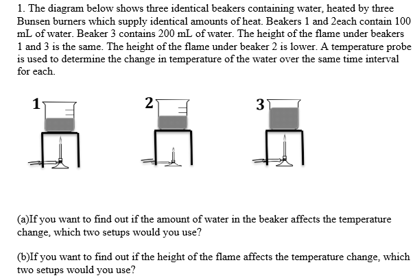 1. The diagram below shows three identical beakers containing water, heated by three
Bunsen burners which supply identical amounts of heat. Beakers 1 and 2each contain 100
mL of water. Beaker 3 contains 200 mL of water. The height of the flame under beakers
1 and 3 is the same. The height of the flame under beaker 2 is lower. A temperature probe
is used to determine the change in temperature of the water over the same time interval
for each.
2
3)
(a)If you want to find out if the amount of water in the beaker affects the temperature
change, which two setups would you use?
(b)If you want to find out if the height of the flame affects the temperature change, which
two setups would you use?
