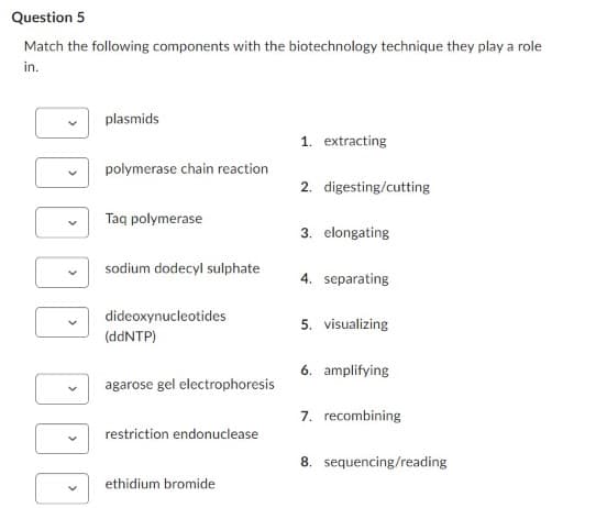 Question 5
Match the following components with the biotechnology technique they play a role
in.
plasmids
1. extracting
polymerase chain reaction
2. digesting/cutting
Taq polymerase
3. elongating
sodium dodecyl sulphate
4. separating
dideoxynucleotides
5. visualizing
(ddNTP)
6. amplifying
agarose gel electrophoresis
7. recombining
restriction endonuclease
8. sequencing/reading
ethidium bromide