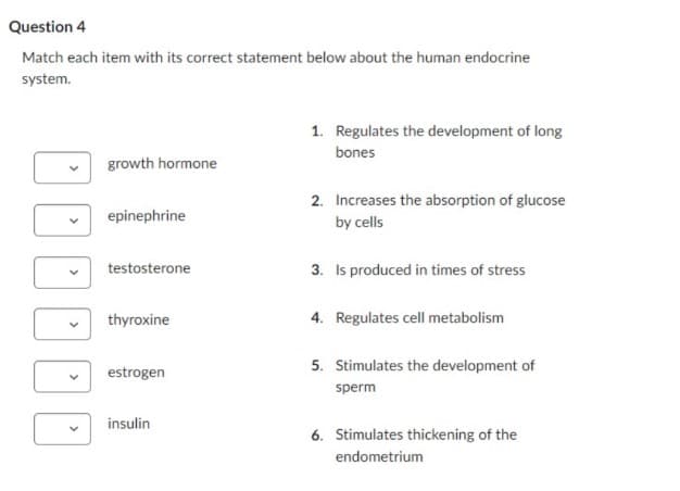 Question 4
Match each item with its correct statement below about the human endocrine
system.
1. Regulates the development of long
bones
growth hormone
epinephrine
2. Increases the absorption of glucose
by cells
testosterone
3. Is produced in times of stress
thyroxine
4. Regulates cell metabolism
estrogen
5. Stimulates the development of
sperm
insulin
6. Stimulates thickening of the
endometrium
DOD