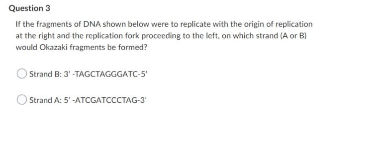 Question 3
If the fragments of DNA shown below were to replicate with the origin of replication
at the right and the replication fork proceeding to the left, on which strand (A or B)
would Okazaki fragments be formed?
Strand B: 3'-TAGCTAGGGATC-5'
Strand A: 5'-ATCGATCCCTAG-3'