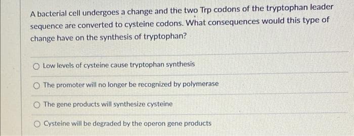 A bacterial cell undergoes a change and the two Trp codons of the tryptophan leader
sequence are converted to cysteine codons. What consequences would this type of
change have on the synthesis of tryptophan?
O Low levels of cysteine cause tryptophan synthesis
O The promoter will no longer be recognized by polymerase
O The gene products will synthesize cysteine
O Cysteine will be degraded by the operon gene products
