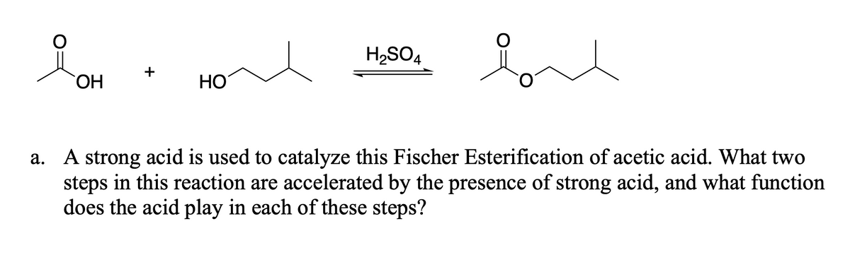 H2SO4
+
HO,
HO
a. A strong acid is used to catalyze this Fischer Esterification of acetic acid. What two
steps in this reaction are accelerated by the presence of strong acid, and what function
does the acid play in each of these steps?
