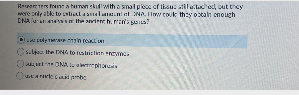 Researchers found a human skull with a small piece of tissue still attached, but they
were only able to extract a small amount of DNA. How could they obtain enough
DNA for an analysis of the ancient human's genes?
use polymerase chain reaction
subject the DNA to restriction enzymes
subject the DNA to electrophoresis
use a nucleic acid probe
