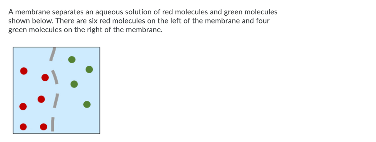 A membrane separates an aqueous solution of red molecules and green molecules
shown below. There are six red molecules on the left of the membrane and four
green molecules on the right of the membrane.
