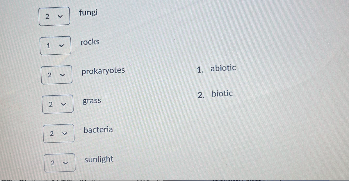 fungi
rocks
1
prokaryotes
1. abiotic
2. biotic
grass
bacteria
2.
sunlight
Z ul
>
>
<>
>
2.
2.
2.
2.
