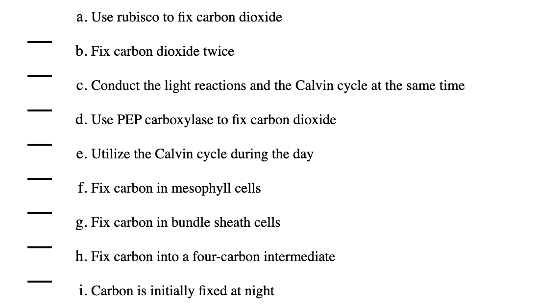a. Use rubisco to fix carbon dioxide
b. Fix carbon dioxide twice
c. Conduct the light reactions and the Calvin cycle at the same time
d. Use PEP carboxylase to fix carbon dioxide
e. Utilize the Calvin cycle during the day
f. Fix carbon in mesophyll cells
g. Fix carbon in bundle sheath cells
h. Fix carbon into a four-carbon intermediate
i. Carbon is initially fixed at night

