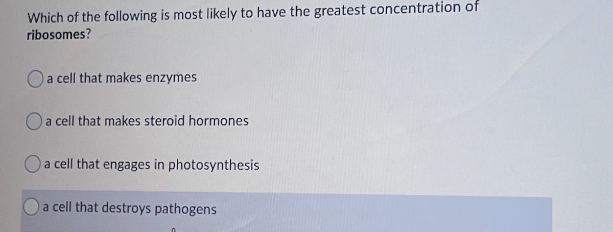 Which of the following is most likely to have the greatest concentration of
ribosomes?
Oa cell that makes enzymes
Oa cell that makes steroid hormones
Oa cell that engages in photosynthesis
a cell that destroys pathogens
