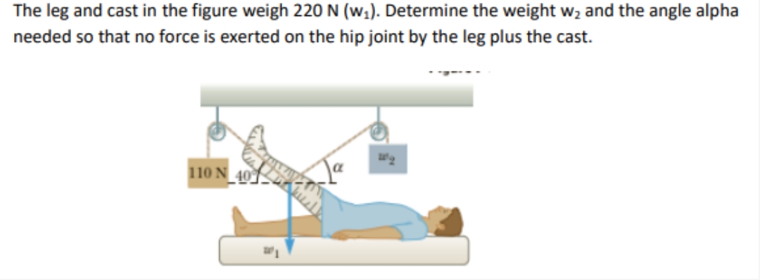 The leg and cast in the figure weigh 220 N (w;). Determine the weight wz and the angle alpha
needed so that no force is exerted on the hip joint by the leg plus the cast.
110 N
