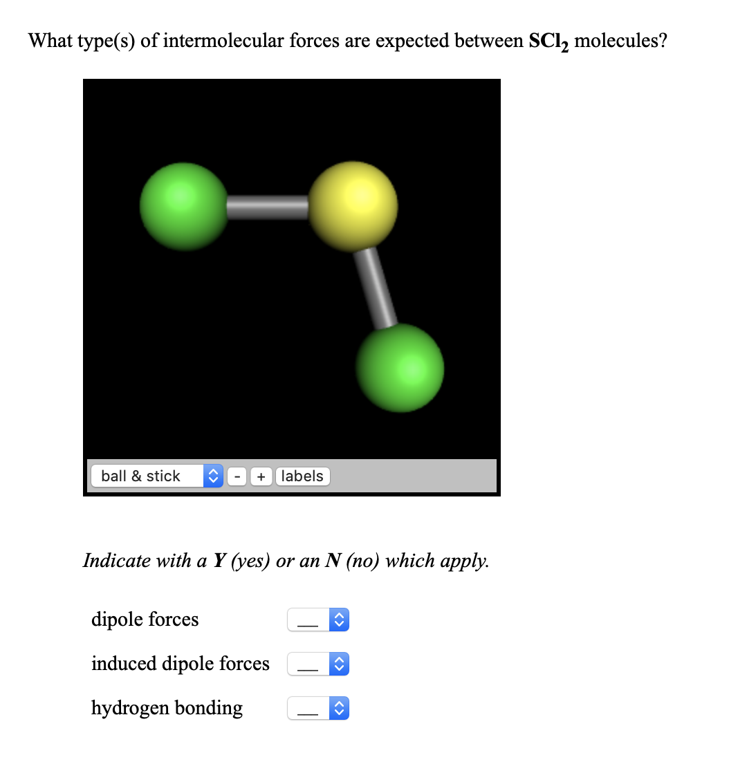 What type(s) of intermolecular forces are expected between SCl, molecules?
ball & stick
labels
Indicate with a Y (yes) or an N (no) which apply.
dipole forces
induced dipole forces
hydrogen bonding
