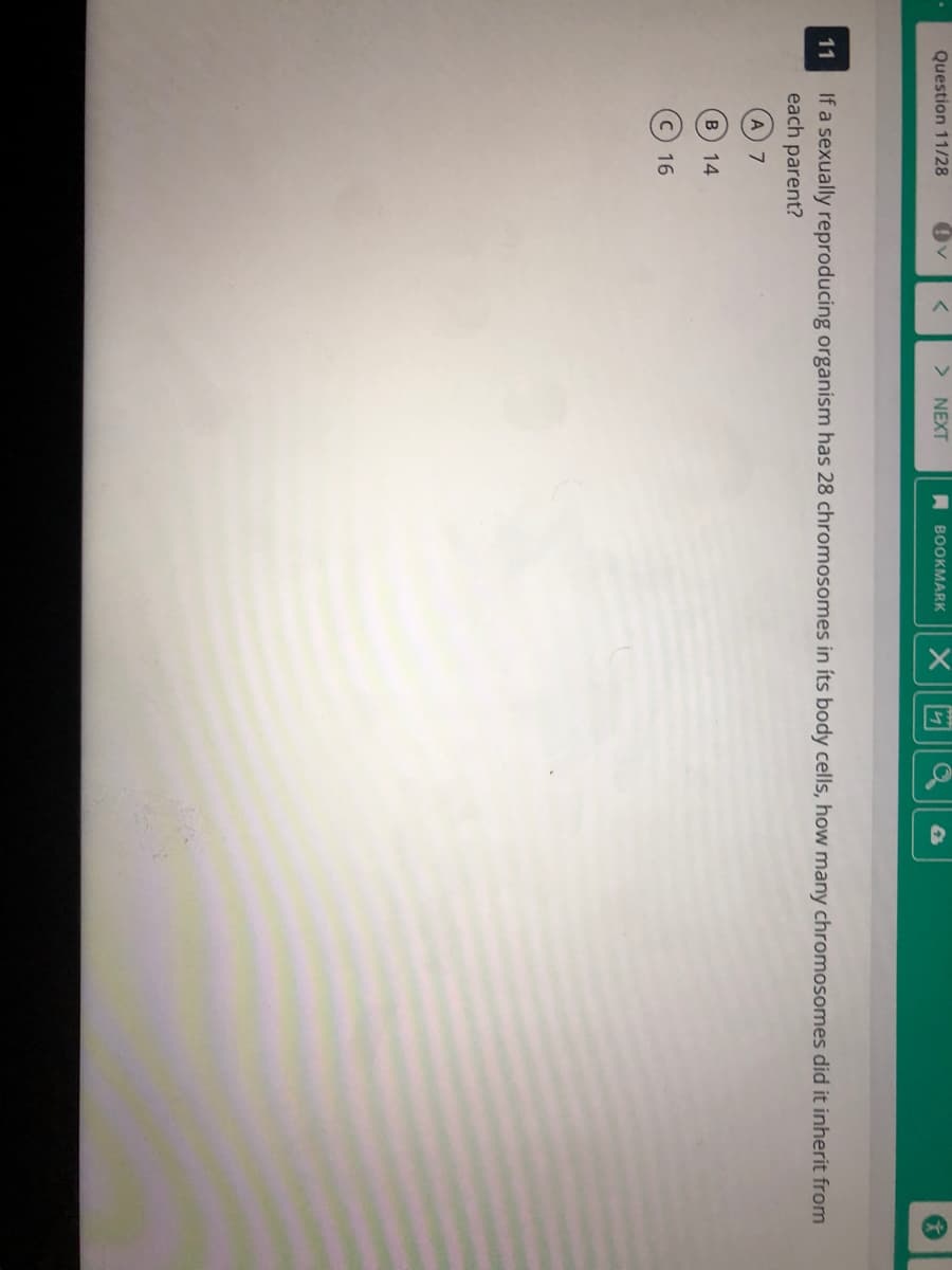 Question 11/28
> NEXT
A BOOKMARK
If a sexually reproducing organism has 28 chromosomes in íts body cells, how many chromosomes did it inherit from
each parent?
11
14
c) 16
