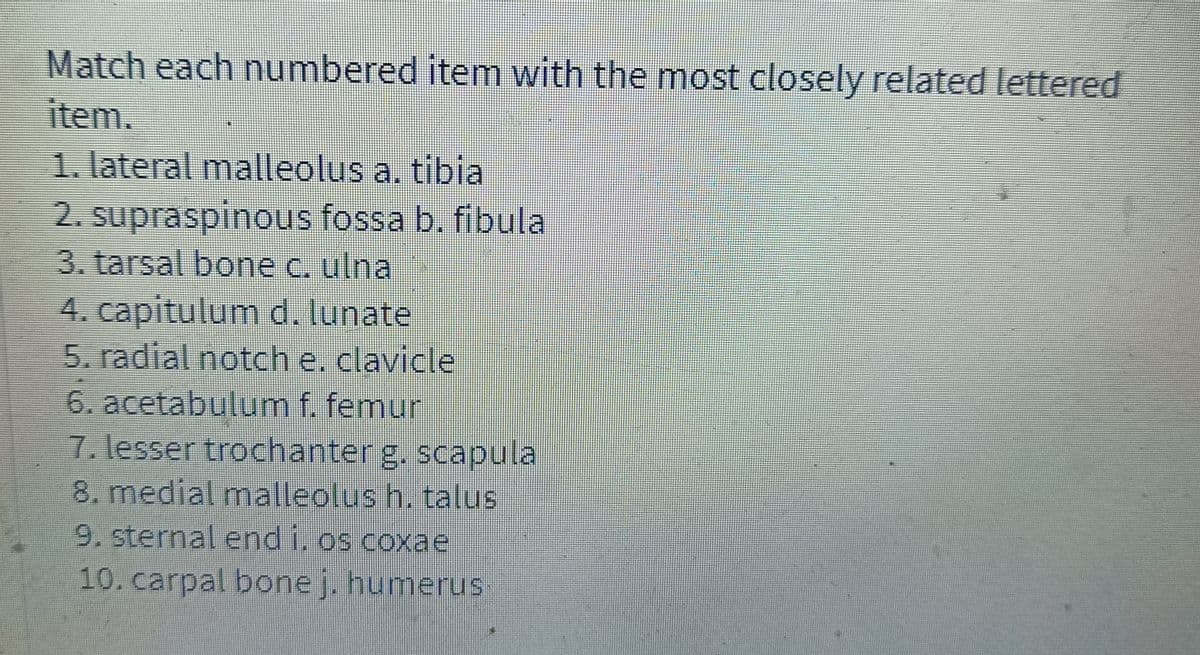 Match each numbered item with the most closely related lettered
item.
1. lateral malleolus a. tibia
2. supraspinous fossa b. fibula
3. tarsal bone c. ulna
4. capitulum d. lunate
5. radial notch e. clavicle
6. acetabulum f. femur
7. lesser trochanter g. scapula
8. medial malleolus h. talus
9. sternal end i. os coxae
10. carpal bone j. humerus