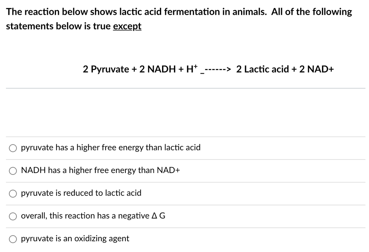 The reaction below shows lactic acid fermentation in animals. All of the following
statements below is true except
2 Pyruvate + 2 NADH + H*
------> 2 Lactic acid + 2 NAD+
pyruvate has a higher free energy than lactic acid
NADH has a higher free energy than NAD+
pyruvate is reduced to lactic acid
overall, this reaction has a negative AG
pyruvate is an oxidizing agent
