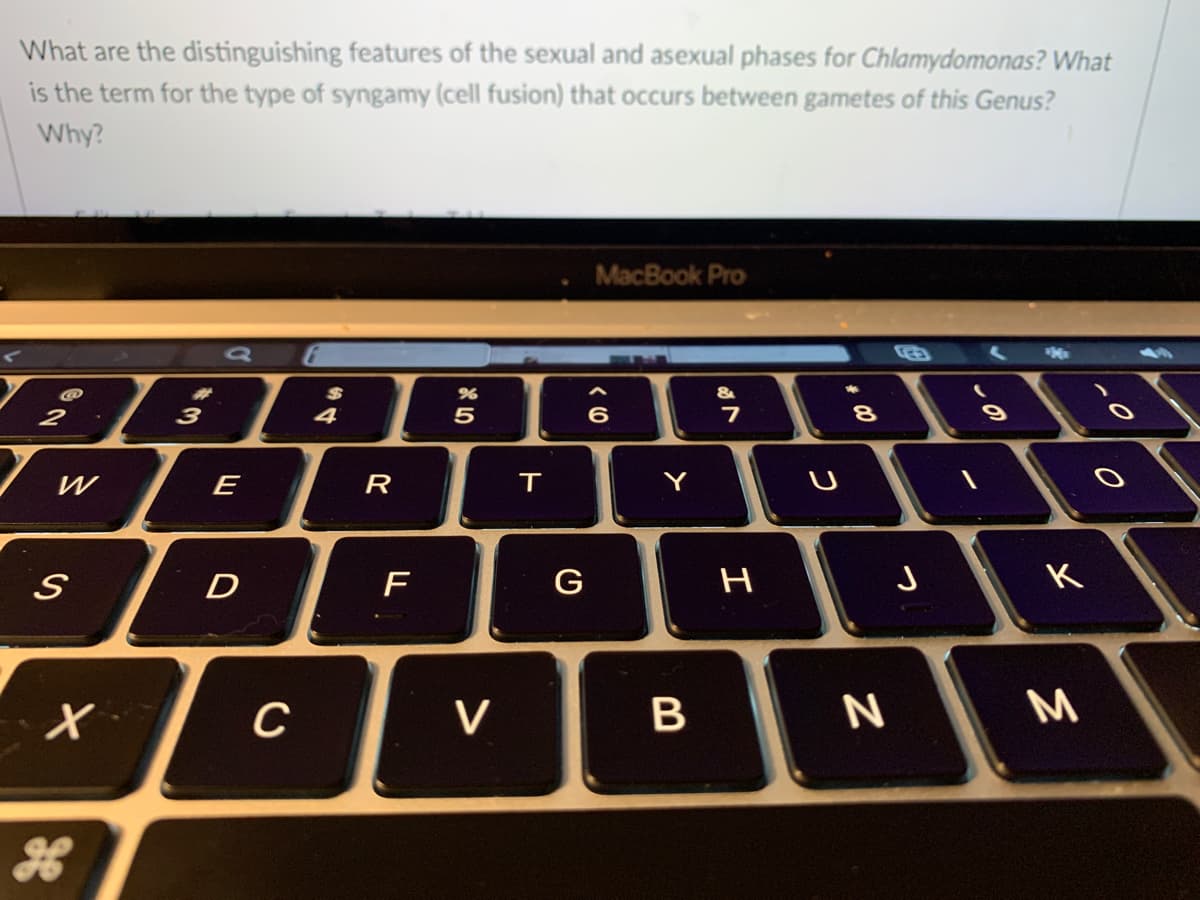 What are the distinguishing features of the sexual and asexual phases for Chlamydomonas? What
is the term for the type of syngamy (cell fusion) that occurs between gametes of this Genus?
Why?
MacBook Pro
%24
4
%23
3
5
6
W
E
R
T
F
G
H
K
C
V
M

