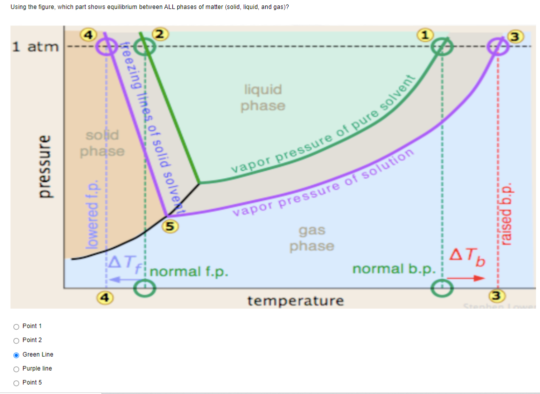 Using the figure, which part shows equilibrium between ALL phases of matter (solid, liquid, and gas)?
1 atm
liquid
phase
soid
phase
gas
phase
AT
finormal f.p.
normal b.p.
temperature
3
O Point 1
O Point 2
O Green Line
O Purple line
O Point 5
pressure
lowered f.p.
treezing Itnes of solid solvet
raised b.p.
