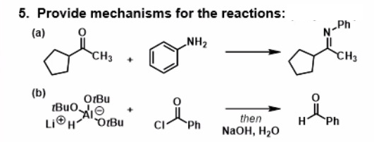 5. Provide mechanisms for the reactions:
(a)
N-Ph
NH2
CH3
CH3
(b)
OtBu
Buo,
LI®H
DIBu
then
CI
Ph
Ph
NaOH, H20

