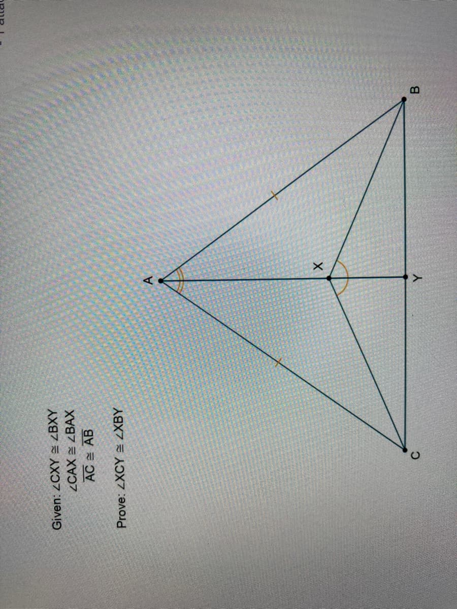 Given: 2CXY = ZBXY
ZCAX E ZBAX
AC AB
Prove: ZXCY = LXBY
C.
B
