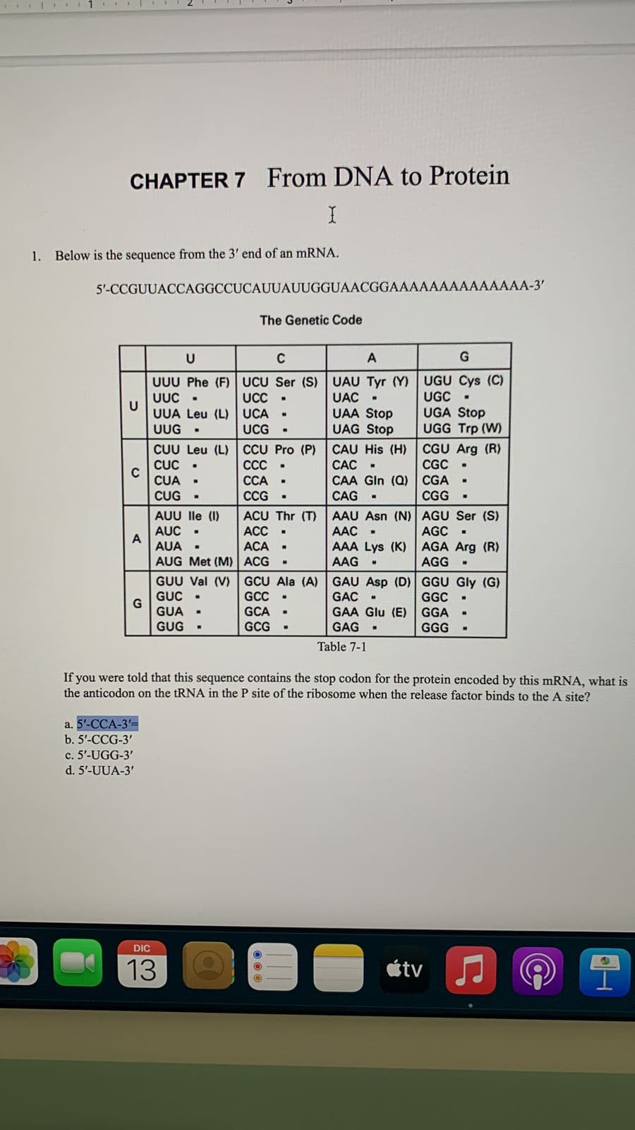 CHAPTER 7 From DNA to Protein
1.
Below is the sequence from the 3' end of an MRNA.
5'-CCGUUACCAGGCCUCAUUAUUGGUAACGGAAAAAAAAAAAAAA-3'
The Genetic Code
UUU Phe (F) UCU Ser (S) UAU Tyr (Y) UGU Cys (C)
UAC -
UAA Stop
UAG Stop
UUC -
UUA Leu (L) UCA
UUG -
UGC -
UGA Stop
UGG Trp (W)
UC
UCG
CUU Leu (L) CCU Pro (P)
CỤC
CAU His (H) CGU Arg (R)
CAC
CAA Gln (Q)
CGC .
CC
ССА
CUA
CGA
CUG
CCG
CAG -
CGG
AUU lle (I)
AUC -
AAU Asn (N) AGU Ser (S)
AAC .
ACU Thr (T)
АСC
AGC
AGA Arg (R)
AGG
AUA -
AUG Met (M) ACG
GUU Val (V) GCU Ala (A)
GUC -
ACA
AAA Lys (K)
AAG
GAU Asp (D) GGU Gly (G)
GAC
GCC
GGC
GGA
GUA
GUG
GCA
GAA Glu (E)
GCG
GAG
GGG
Table 7-1
If you were told that this sequence contains the stop codon for the protein encoded by this mRNA, what is
the anticodon on the tRNA in the P site of the ribosome when the release factor binds to the A site?
a. 5'-CCA-3=
b. 5'-CCG-3'
c. 5'-UGG-3'
d. 5'-UUA-3'
DIC
13
étv
