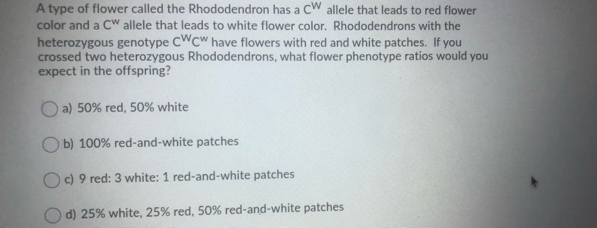 A type of flower called the Rhododendron has a CW allele that leads to red flower
color and a CW allele that leads to white flower color. Rhododendrons with the
heterozygous genotype CWCW have flowers with red and white patches. If you
crossed two heterozygous Rhododendrons, what flower phenotype ratios would you
expect in the offspring?
O a) 50% red, 50% white
O b) 100% red-and-white patches
O c) 9 red: 3 white: 1 red-and-white patches
d) 25% white, 25% red, 50% red-and-white patches
