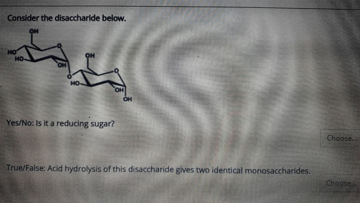 Consider the disaccharide below.
OH
HO
HO-
OH
HO
OH
Yes/No: Is it a reducing sugar?
Choose..
True/False: Acid hydrolysis of this disaccharide gives two identical monosaccharides.
IChoose.

