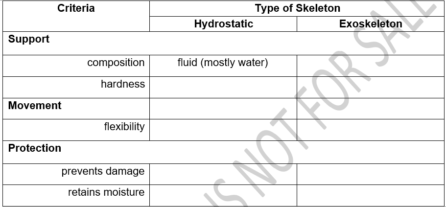 Criteria
Type of Skeleton
Hydrostatic
Exoskeleton
Support
composition
fluid (mostly water)
hardness
Movement
flexibility
Protection
prevents damage
retains moisture
