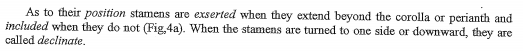 As to their position stamens are exserted when they extend beyond the corolla or perianth and
included when they do not (Fig,4a). When the stamens are turned to one side or downward, they are
called declinate.
