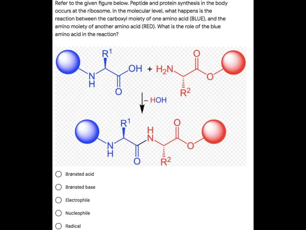 Refer to the given figure below. Peptide and protein synthesis in the body
occurs at the ribosome. In the molecular level, what happens is the
reaction between the carboxyl moiety of one amino acid (BLUE), and the
amino moiety of another amino acid (RED). What is the role of the blue
amino acid in the reaction?
R1
LOH + H2N.
R2
- HOH
НОН
R1
R2
Brønsted acid
Brønsted base
Electrophile
Nucleophile
Radical
IZ
ZI
ZI
