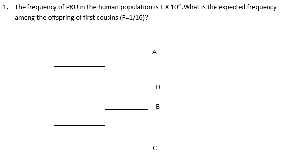 1. The frequency of PKU in the human population is 1 X 104.What is the expected frequency
among the offspring of first cousins (F=1/16)?
A
D
B.
