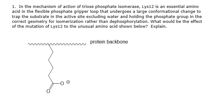 1. In the mechanism of action of triose phosphate isomerase, Lys12 is an essential amino
acid in the flexible phosphate gripper loop that undergoes a large conformational change to
trap the substrate in the active site excluding water and holding the phosphate group in the
correct geometry for isomerization rather than dephosphorylation. What would be the effect
of the mutation of Lys12 to the unusual amino acid shown below? Explain.
protein backbone
