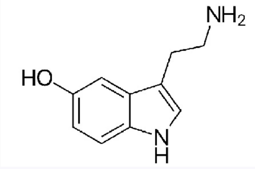 NH2
HO
ZI
