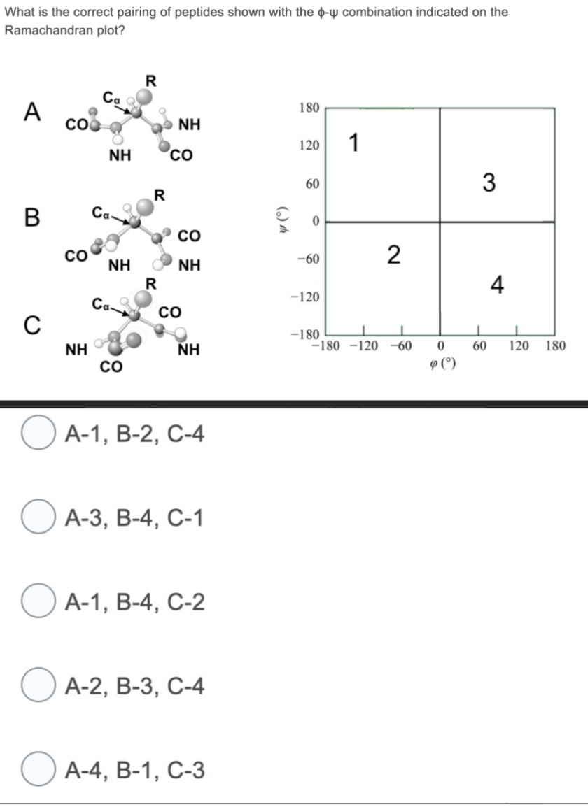 What is the correct pairing of peptides shown with the - combination indicated on the
Ramachandran plot?
A
B
C
CO
со
NH
NH
Ca-
NH
Ca
со
R
R
R
NH
CO
со
NH
CO
NH
A-1, B-2, C-4
A-3, B-4, C-1
A-1, B-4, C-2
A-2, B-3, C-4
A-4, B-1, C-3
(₂)
180
120
60
0
-60
-120
-180
1
2
-180 -120 -60
0
9 ()
3
4
60 120 180