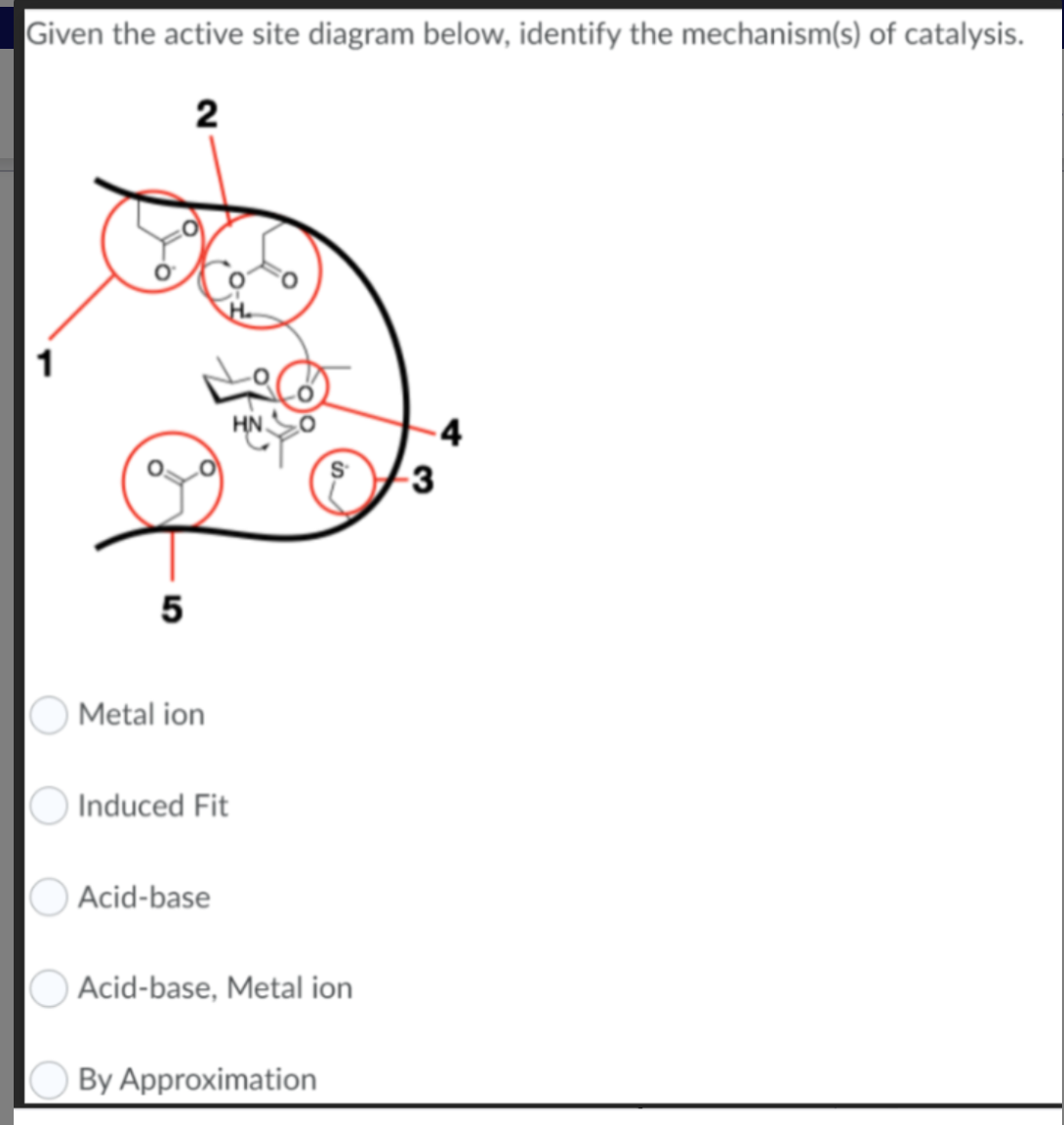 Given the active site diagram below, identify the mechanism(s) of catalysis.
2
5
Metal ion
Induced Fit
Acid-base
Acid-base, Metal ion
By Approximation
-3
4
