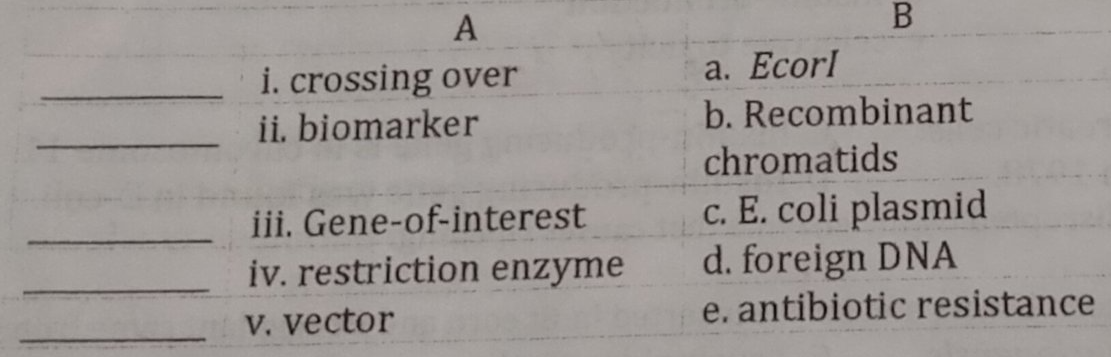 A
i. crossing over
ii. biomarker
a. Еcorl
b. Recombinant
iii. Gene-of-interest
iv. restriction enzyme
chromatids
c. E. coli plasmid
d. foreign DNA
e. antibiotic resistance
V. vector
