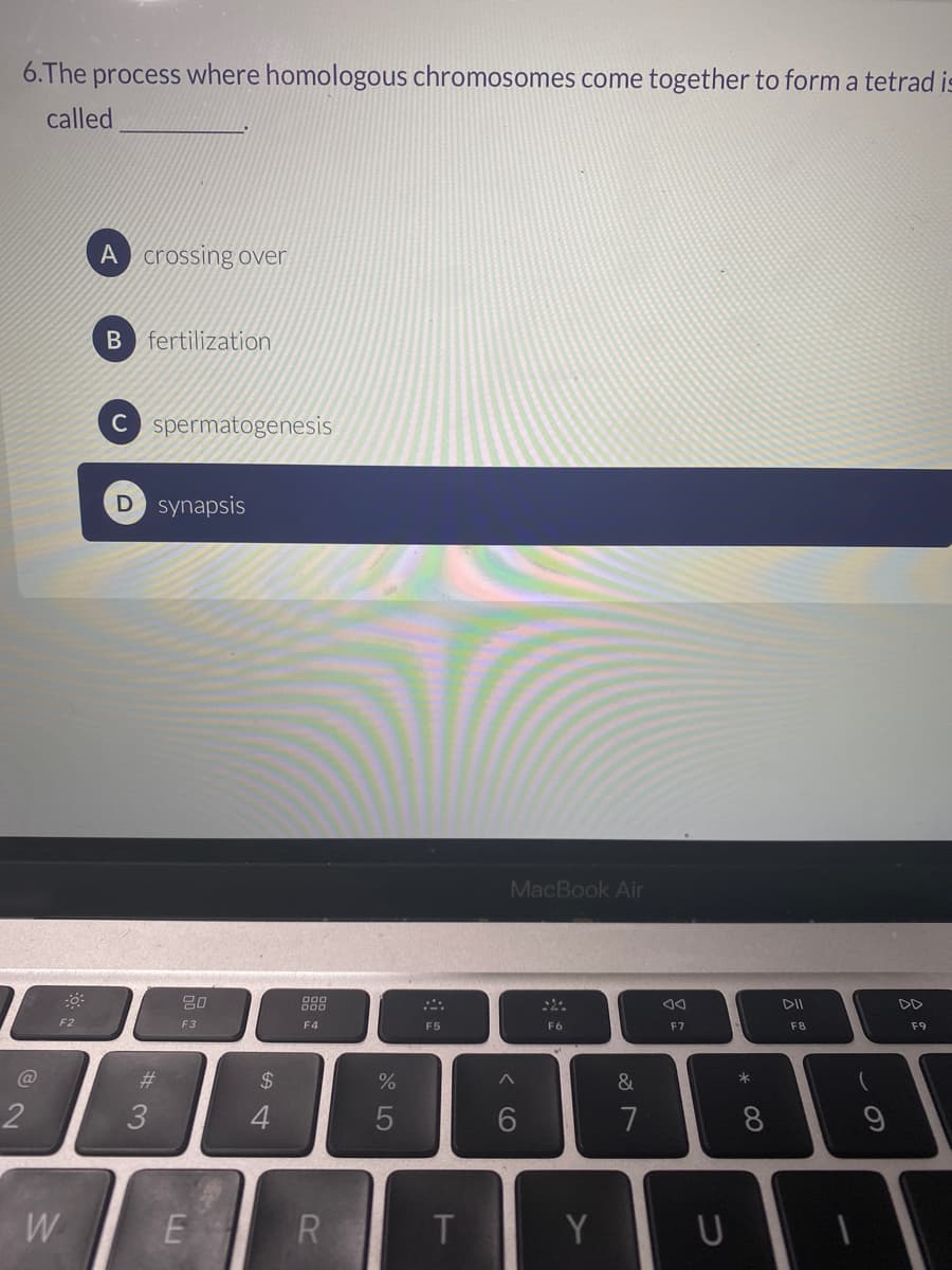 6.The process where homologous chromosomes come together to form a tetrad is
called
A crossing over
B fertilization
C spermatogenesis
synapsis
MacBook Air
80
888
DII
DD
F2
F3
F4
F5
F6
F7
F8
F9
%23
24
&
2.
3
7
8.
W
R.
T
Y
この
くO
