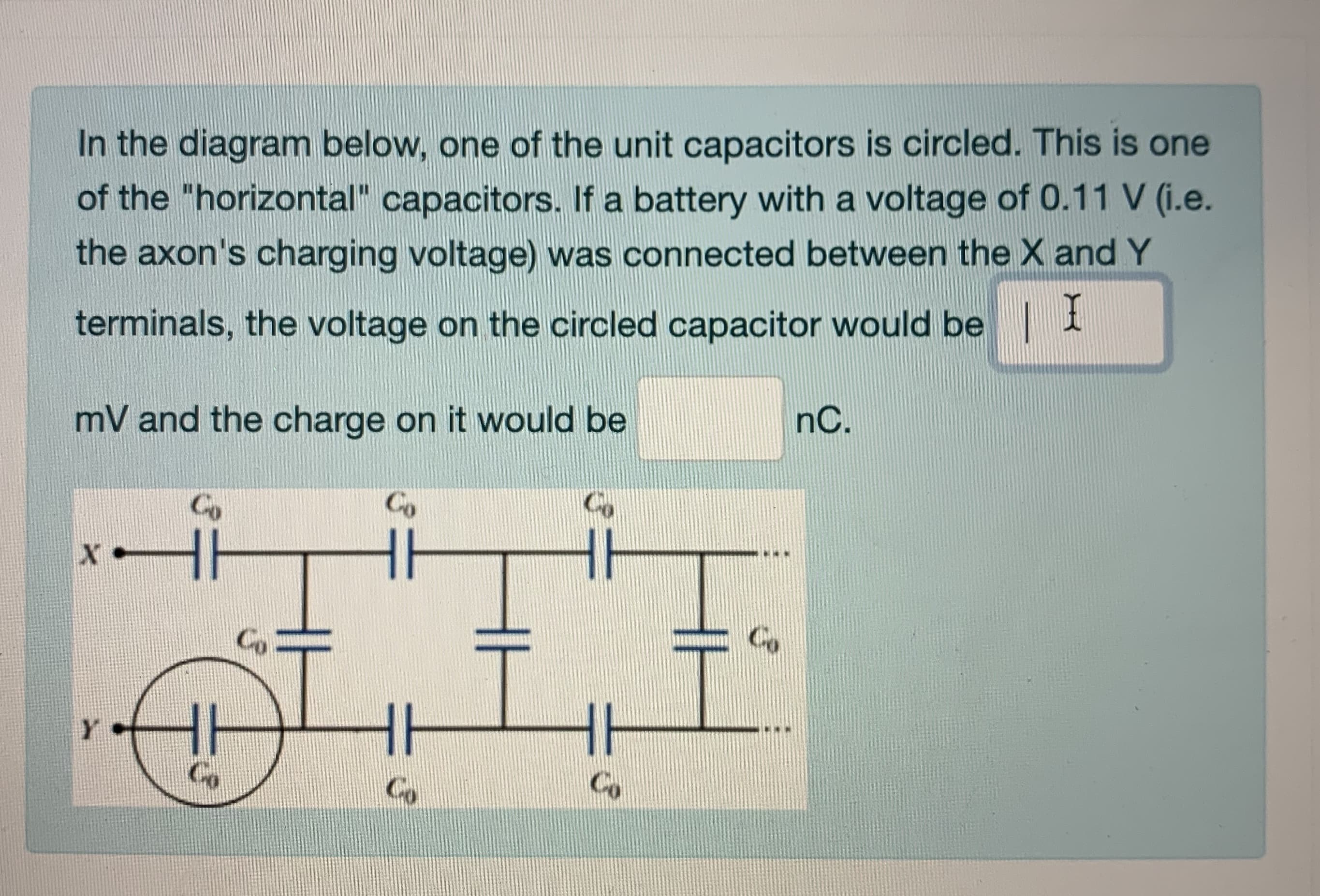 In the diagram below, one of the unit capacitors is circled. This is one
of the "horizontal" capacitors. If a battery with a voltage of 0.11 V (i.e.
the axon's charging voltage) was connected between the X and Y
terminals, the voltage on the circled capacitor would be 1
mV and the charge on it would be
nC.

