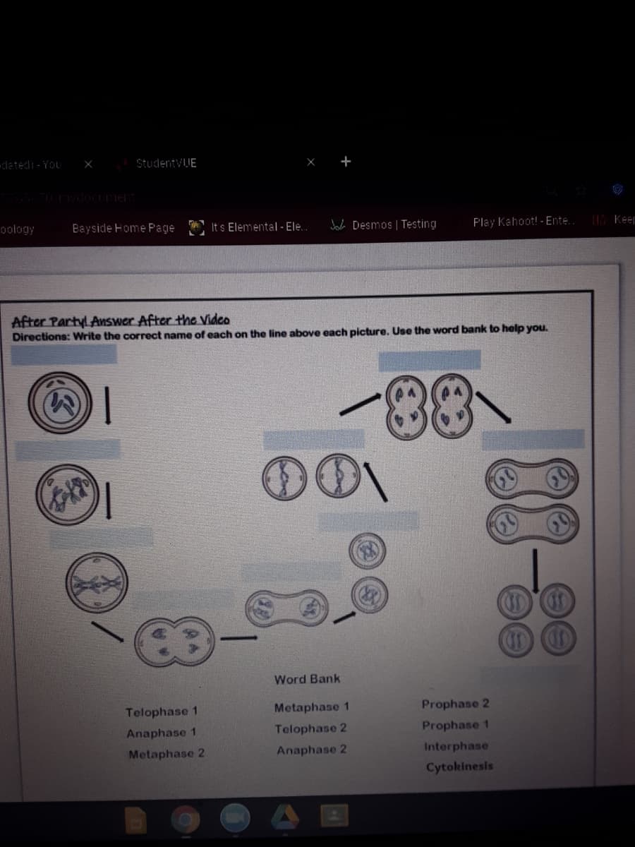 datedi - You
StudentvJE
Bayside Home Page
Joca Desmos | Testing
Play Kahoot! - Ente.
M Keep
oology
It s Elemental - Ele.
After Partyl Answer After the Video
Directions: Write the correct name of each on the line above each picture. Use the word bank to help you.
Word Bank
Metaphase 1
Prophase 2
Telophase 1
Telophase 2
Prophase 1
Anaphase 1
Anaphase 2
Interphase
Metaphase 2
Cytokinesis
