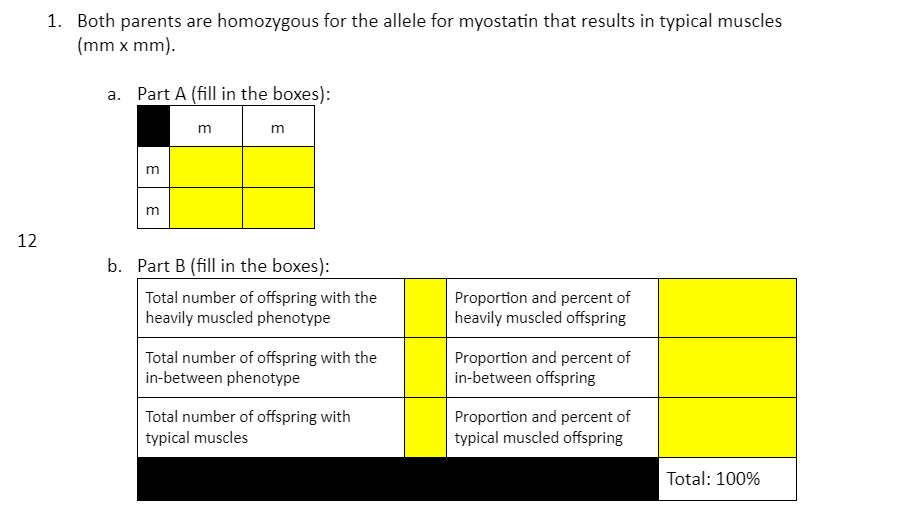 1. Both parents are homozygous for the allele for myostatin that results in typical muscles
(mm x mm).
a. Part A (fill in the boxes):
m
m
m
12
b. Part B (fill in the boxes):
Total number of offspring with the
heavily muscled phenotype
Proportion and percent of
heavily muscled offspring
Total number of offspring with the
in-between phenotype
Proportion and percent of
in-between offspring
Total number of offspring with
typical muscles
Proportion and percent of
typical muscled offspring
Total: 100%
