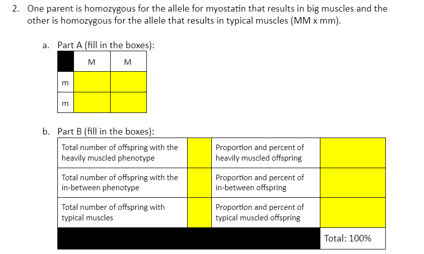 2. One parent is homozygous for the allele for myostatin that results in big muscles and the
other is homozygous for the allele that results in typical muscles (MM x mm).
a. Part A (fill in the boxes):
M
M
m
m
b. Part B (fill in the boxes):
Total number of offspring with the
heavily muscled phenotype
Proportion and percent of
heavily muscled offspring
Total number of offspring with the
in-between phenotype
Proportion and percent of
in-between offspring
Total number of offspring with
typical muscles
Proportion and percent of
typical muscled offspring
Total: 100%
