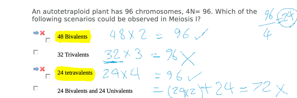 An autotetraploid plant has 96 chromosomes, 4N= 96. Which of the
following scenarios could be observed in Meiosis I?
48x2 = 96 ✓
☐
□
➡X
48 Bivalents
32 Trivalents
24 tetravalents
32x3 =% X
24x4 =96✓
24 Bivalents and 24 Univalents
96 £24
4
= (29x2)+ 24 = 72 X