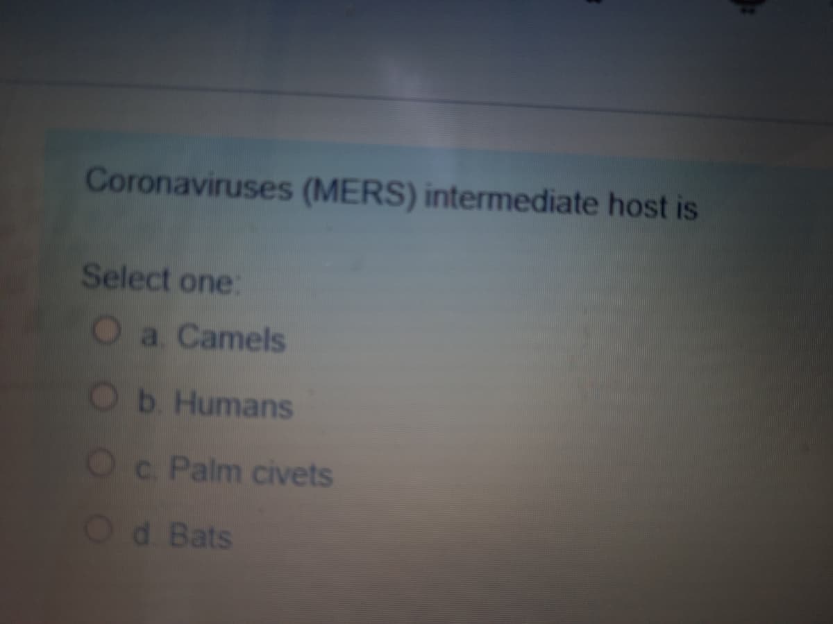 Coronaviruses (MERS) intermediate host is
Select one:
O a Camels
Ob Humans
Oc. Palm civets
Od Bats
