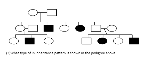 (2)What type of in inheritance pattern is shown in the pedigree above
ठे