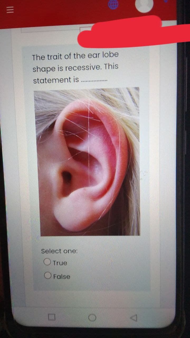 The trait of the ear lobe
shape is recessive. This
statement is
Select one:
O True
O False
II
