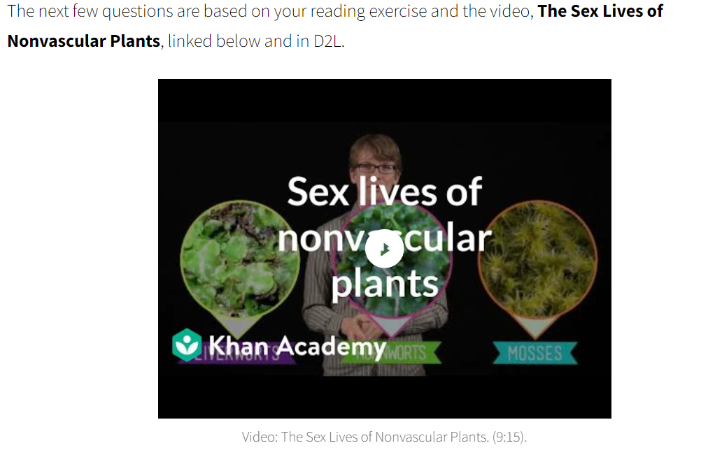 The next few questions are based on your reading exercise and the video, The Sex Lives of
Nonvascular Plants, linked below and in D2L.
Sex lives of
nonvocular
plants
Khan Academy WORTS
MOSSES
Video: The Sex Lives of Nonvascular Plants. (9:15).