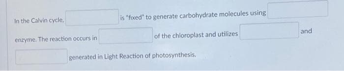 In the Calvin cycle,
is "fixed" to generate carbohydrate molecules using
enzyme. The reaction occurs in
of the chloroplast and utilizes
and
generated in Light Reaction of photosynthesis.
