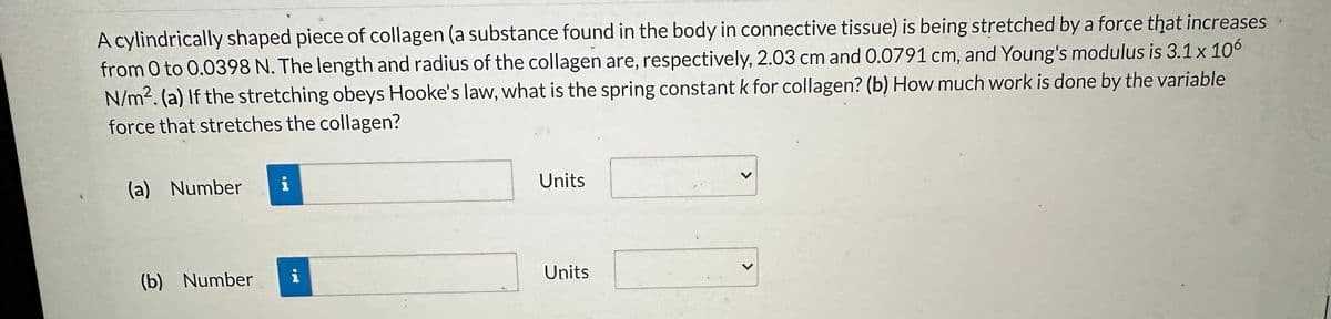 A cylindrically shaped piece of collagen (a substance found in the body in connective tissue) is being stretched by a force that increases
from 0 to 0.0398 N. The length and radius of the collagen are, respectively, 2.03 cm and 0.0791 cm, and Young's modulus is 3.1 x 106
N/m². (a) If the stretching obeys Hooke's law, what is the spring constant k for collagen? (b) How much work is done by the variable
force that stretches the collagen?
(a) Number
(b) Number
i
i
Units
Units