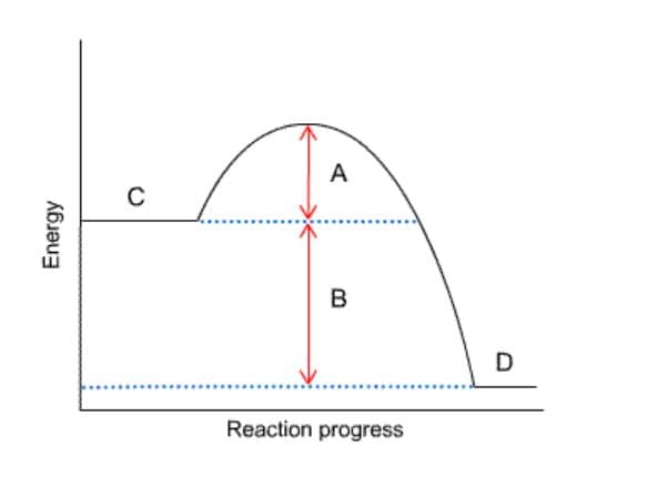 A
C
Reaction progress
Energy
